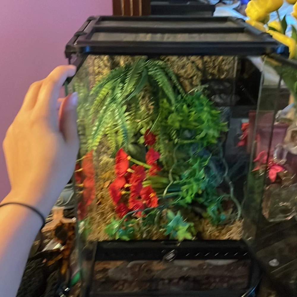 Bio active terrarium enclosure for reptiles